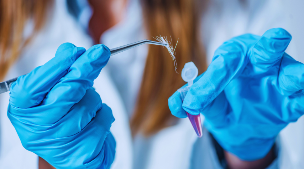 Concurso Polícia Científica ES 2026: Estatuto sancionado e edital previsto!